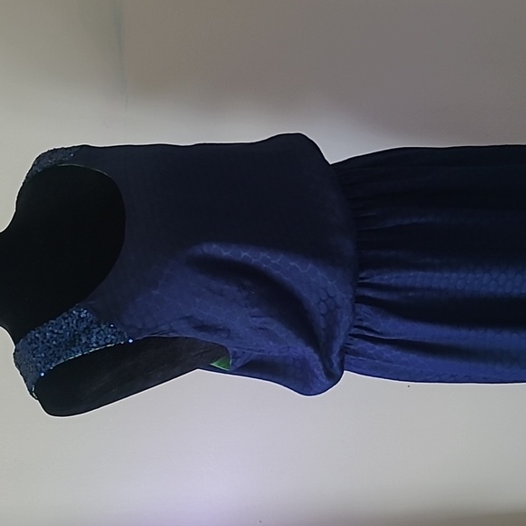 LILLY PULITZER Calissi Dress Sequin Neckline High Low Silk Blends S Large - Picture 8 of 9